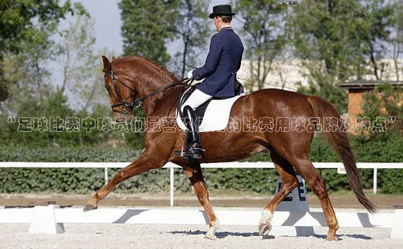 凯发一触即发(中国区)官方网站携程“足球比赛中球员们最喜欢使用的比赛用球品牌及特点”