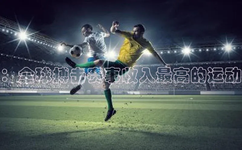 ：全球搏击赛事收入最高的运动