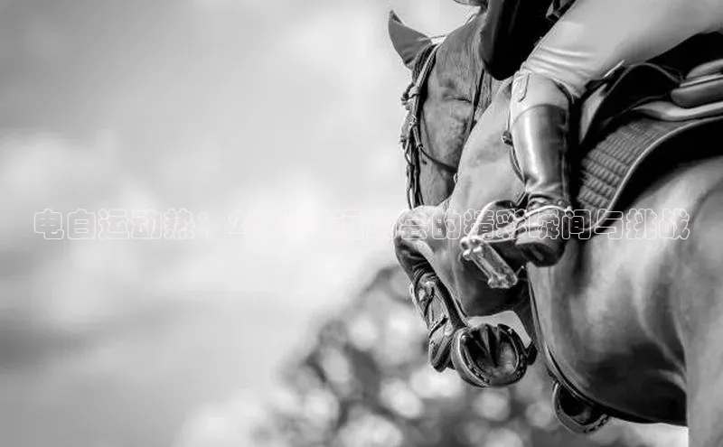 电白运动热：2023年运动会的精彩瞬间与挑战