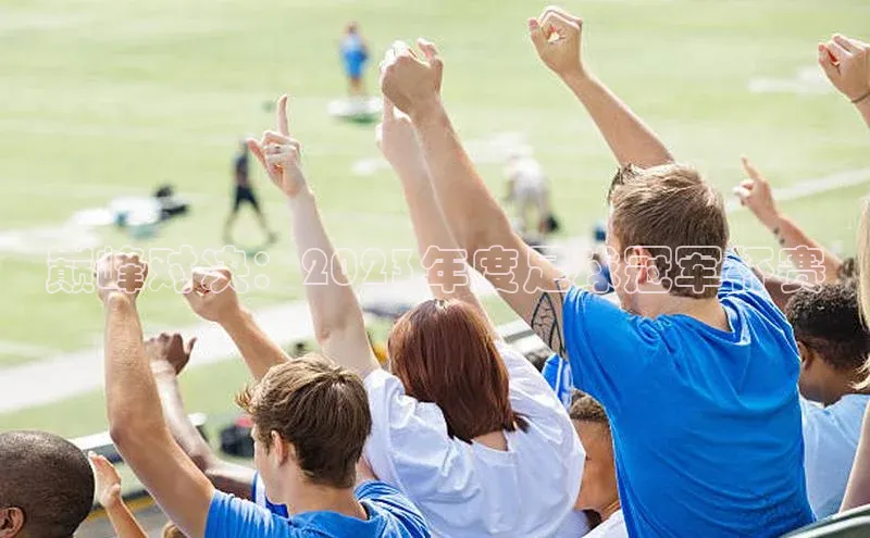 巅峰对决：2023年度足球冠军杯赛