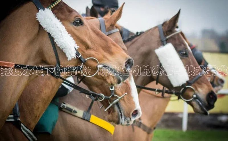 竞技水域下的挑战：跳水运动的赛事与技术要求