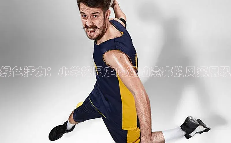 凯发app官网入口